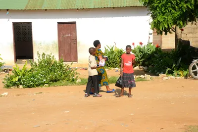 DSC_8466 (Large).JPG